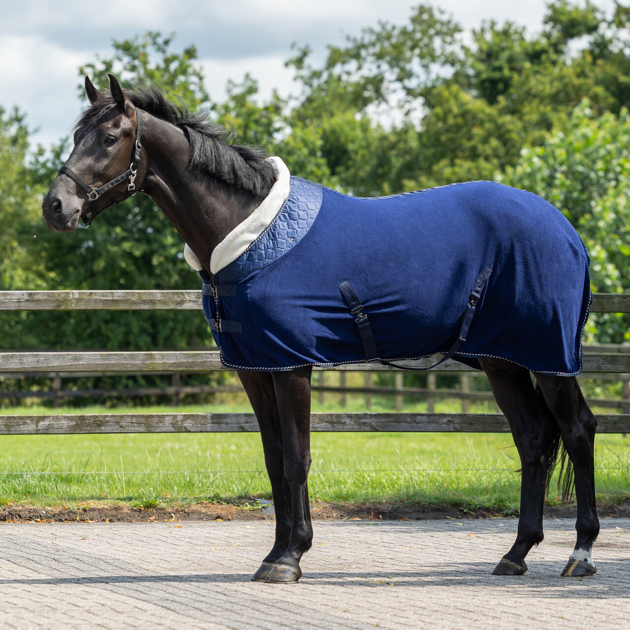 Mantas exteriores forro polar rug Brilliance QHP para equitación - vista 11