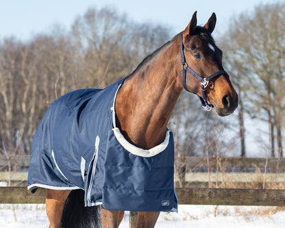 Pecho protector Ontario QHP para equitación - vista 7
