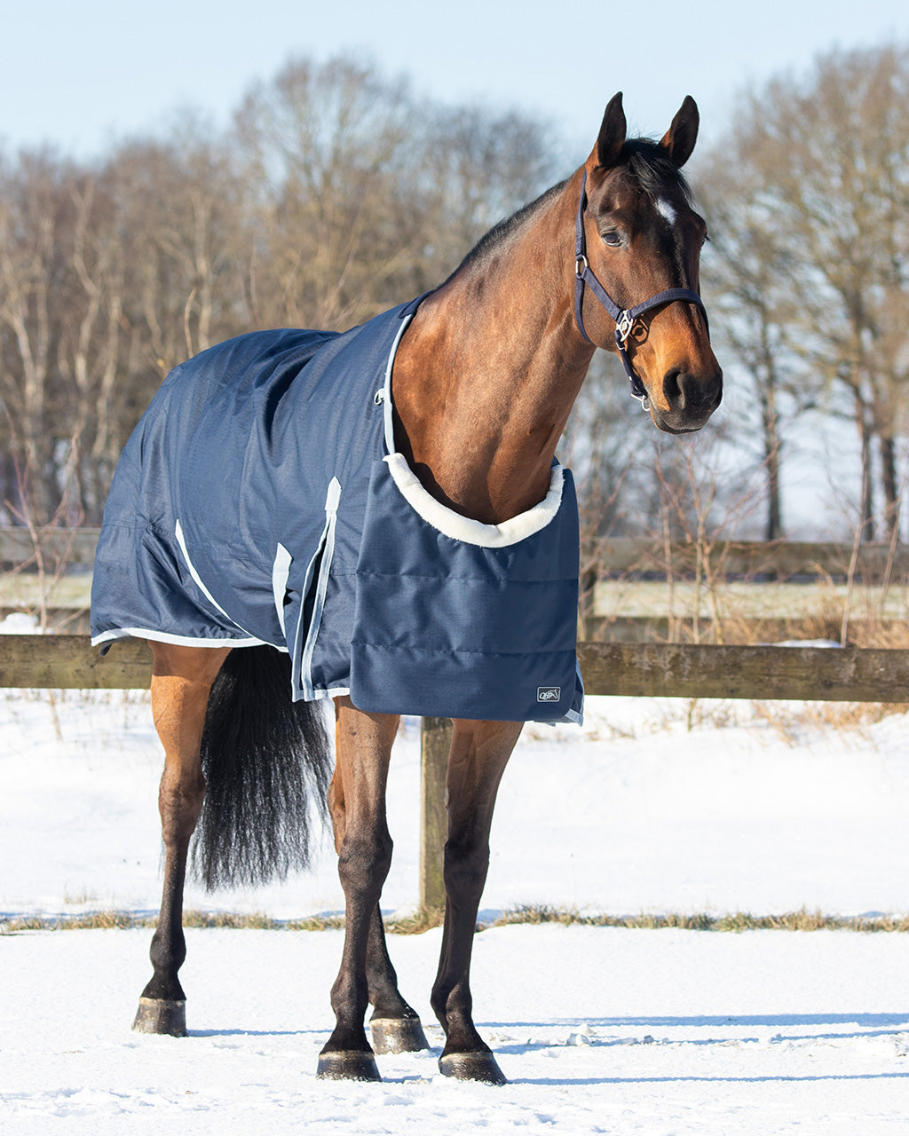 Pecho protector Ontario QHP para equitación - vista 23