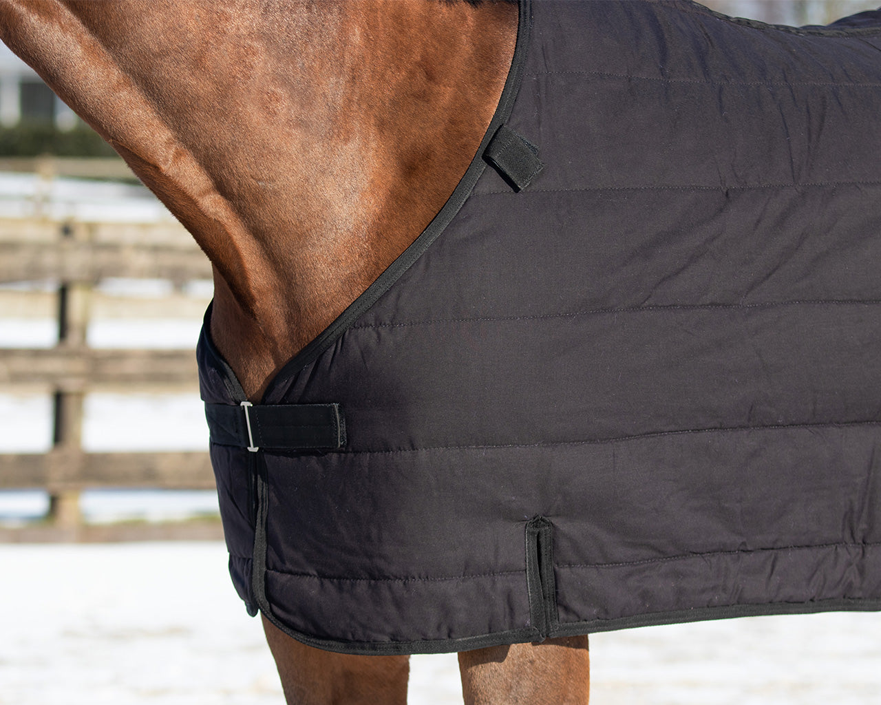 Mantas exteriores Rug combo set turnout-underrug-neck QHP para equitación - vista 30