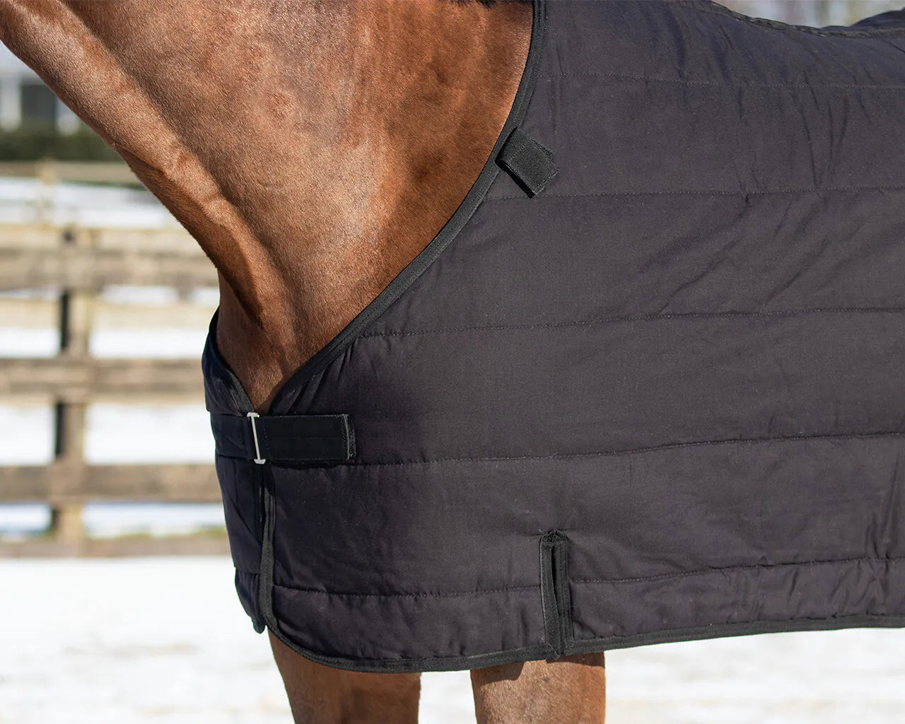 Mantas exteriores Rug combo set turnout-underrug-neck QHP para equitación - vista 4