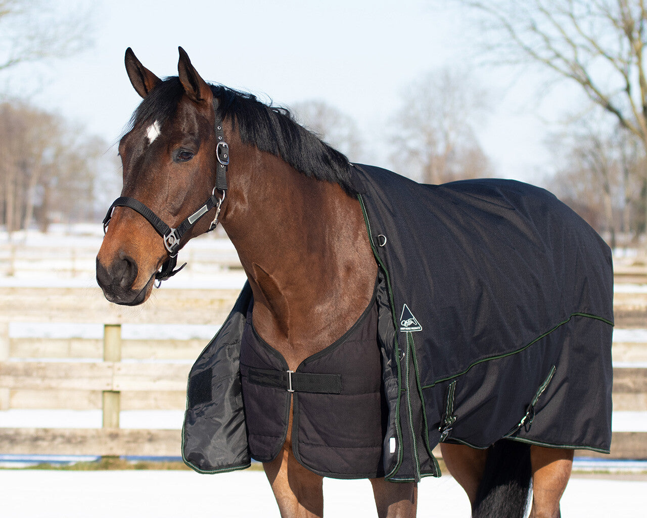 Mantas exteriores Rug combo set turnout-underrug-neck QHP para equitación - vista 11
