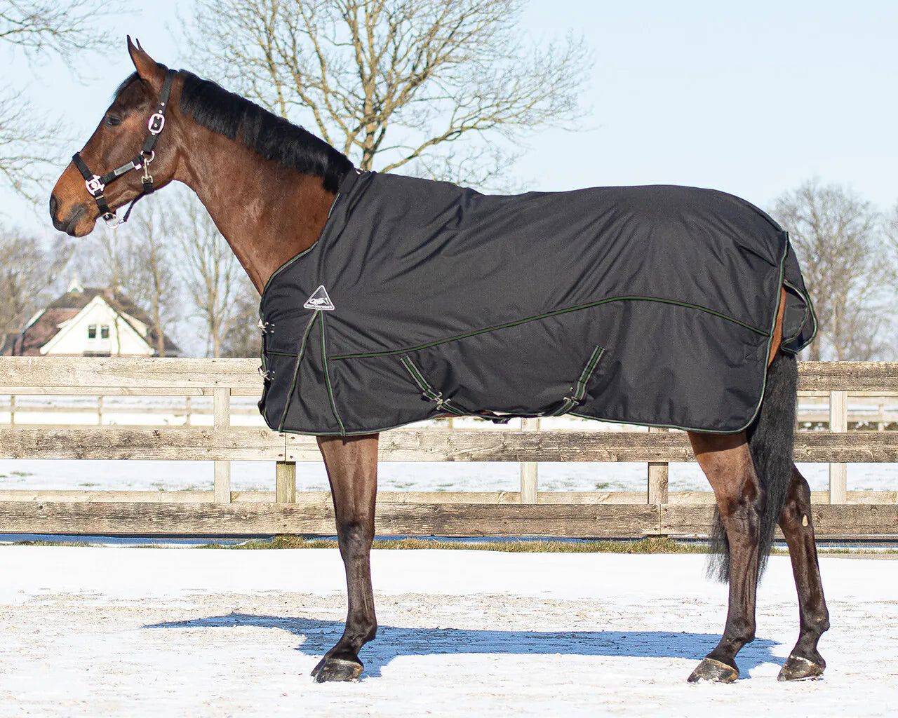 Mantas exteriores Rug combo set turnout-underrug-neck QHP para equitación - vista 14