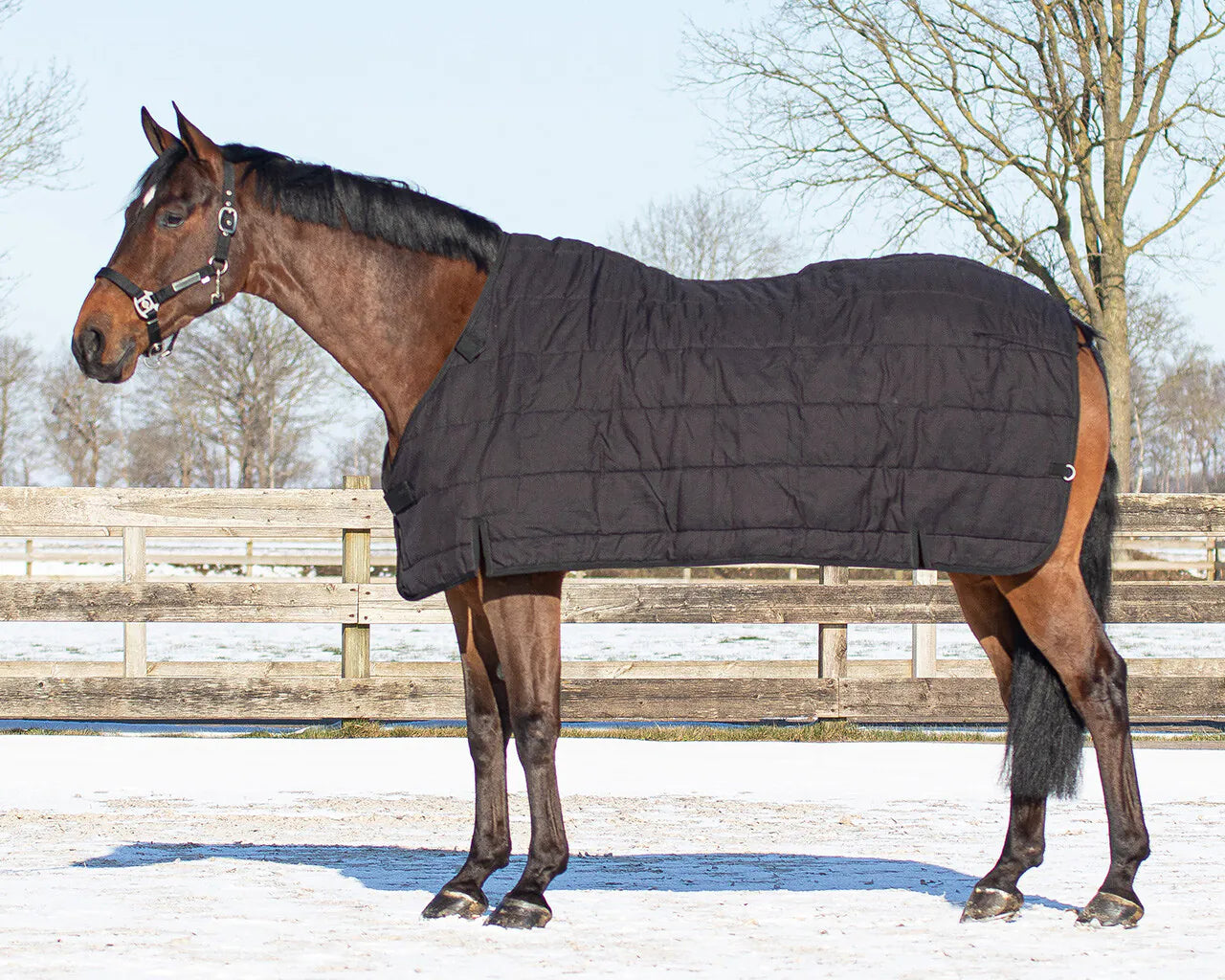 Mantas exteriores Rug combo set turnout-underrug-neck QHP para equitación - vista 16
