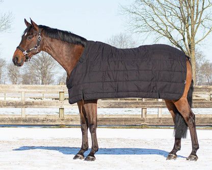 Mantas exteriores Rug combo set turnout-underrug-neck QHP para equitación - vista 16