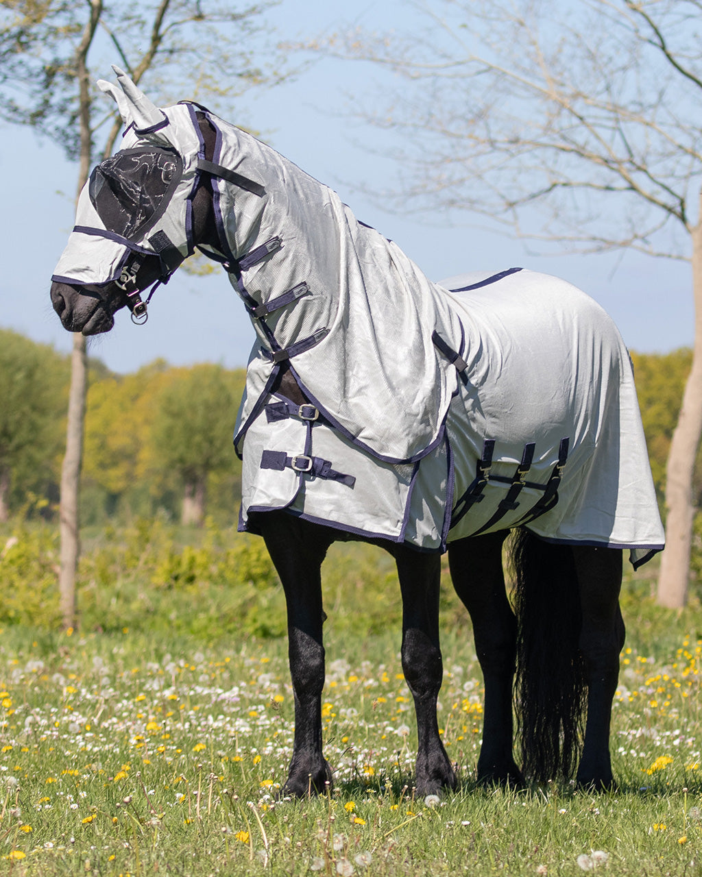 Repelentes de insectos Fly sheet con desmontable neck y mask Big neck QHP para equitación - vista 17
