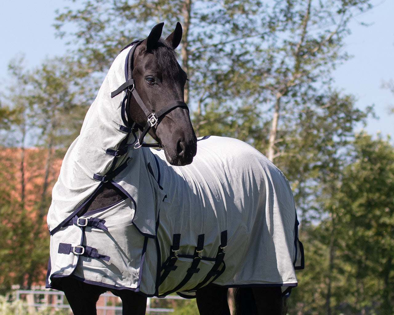 Repelentes de insectos Fly sheet con desmontable neck y mask Big neck QHP para equitación - vista 13