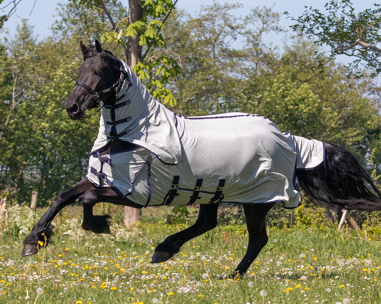 Repelentes de insectos Fly sheet con desmontable neck y mask Big neck QHP para equitación - vista 44