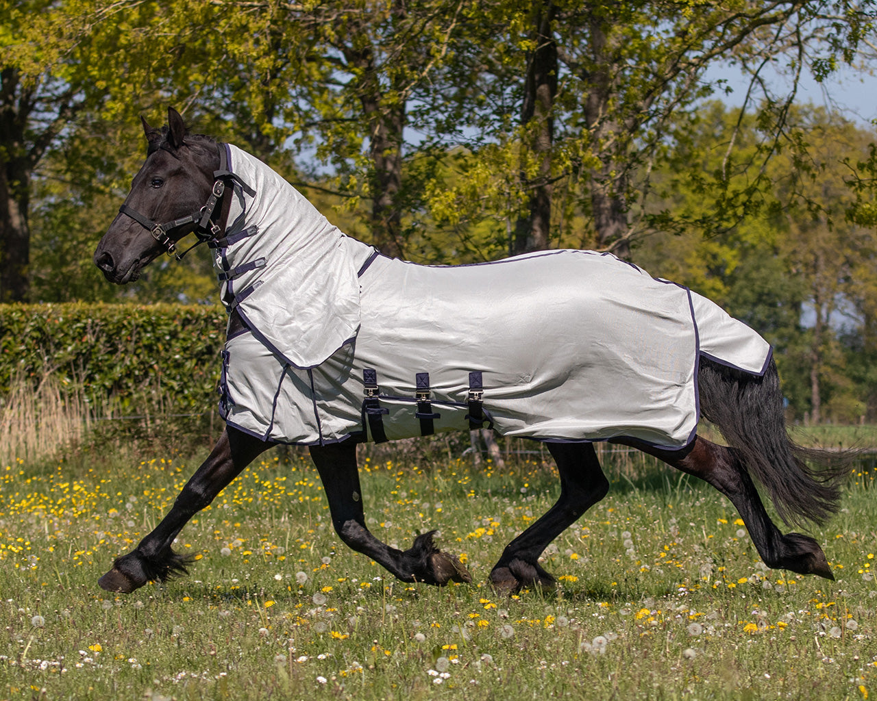 Repelentes de insectos Fly sheet con desmontable neck y mask Big neck QHP para equitación - vista 15