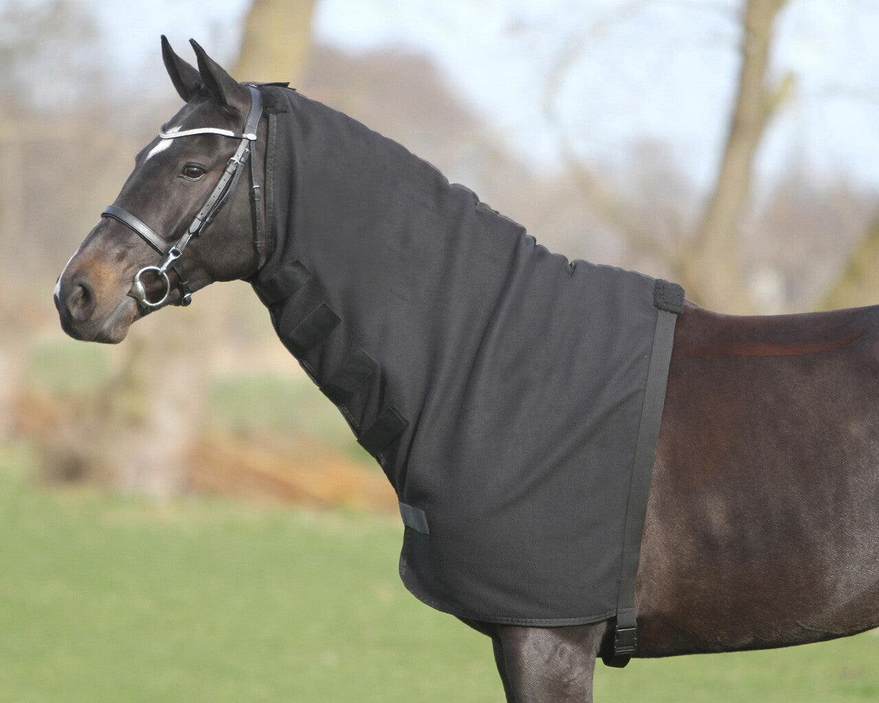 Loose forro polar pieza de cuello para manta QHP para equitación - vista 14