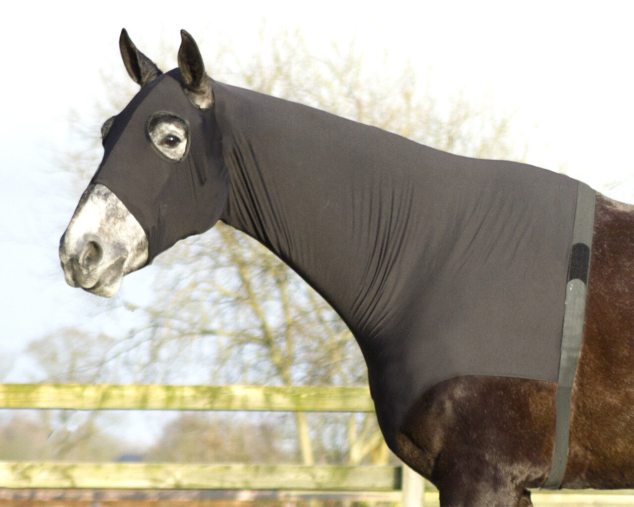 Elastic neckprotector QHP para equitación - vista 5