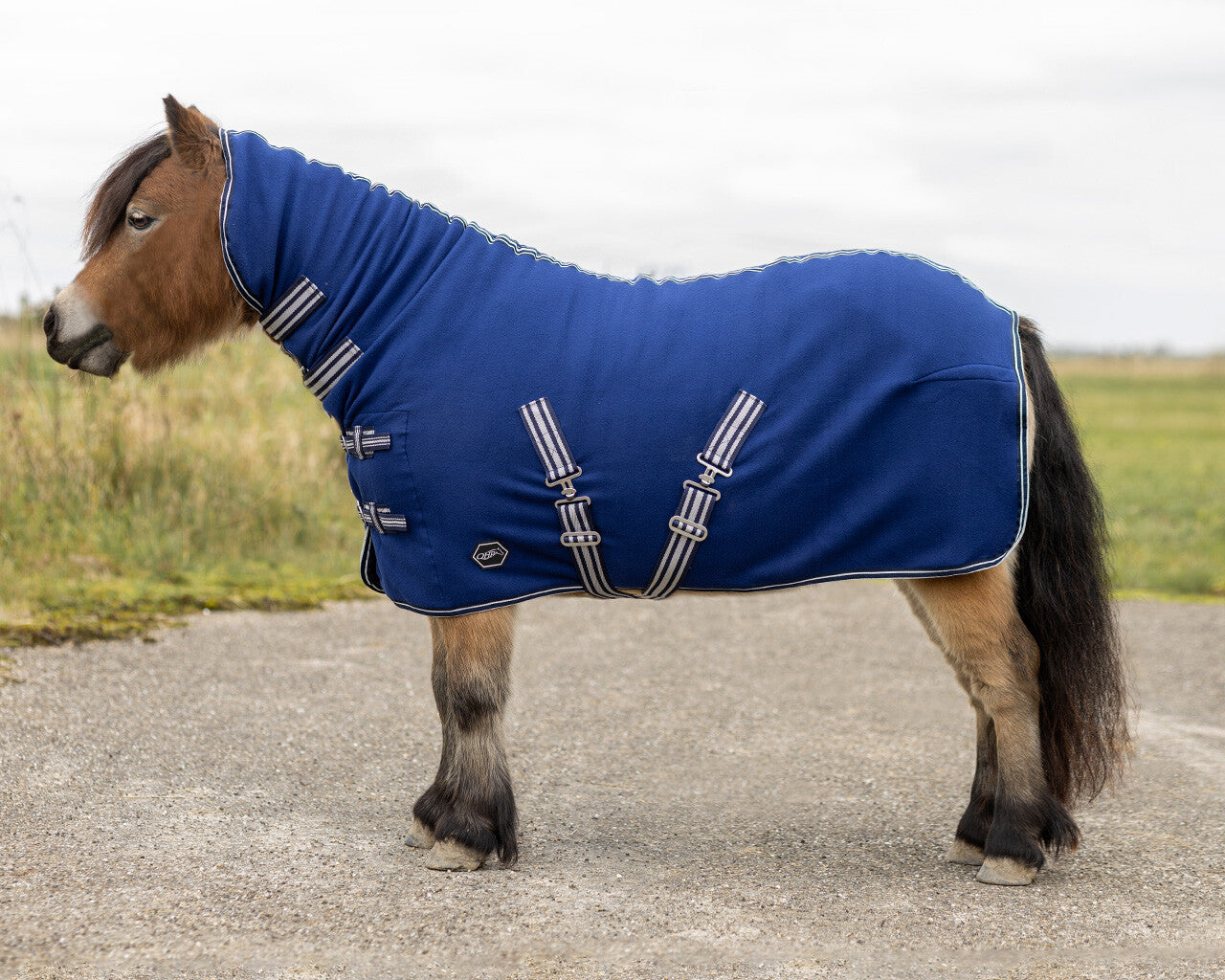 Mantas exteriores forro polar rug Shetland con neck QHP para equitación - vista 7