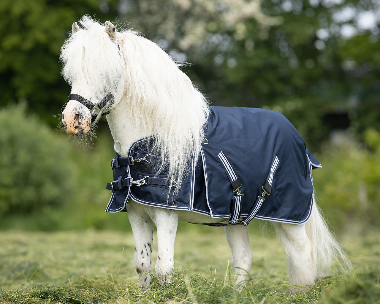 Mantas exteriores Turnout rug falabella 0gr QHP para equitación - vista 40