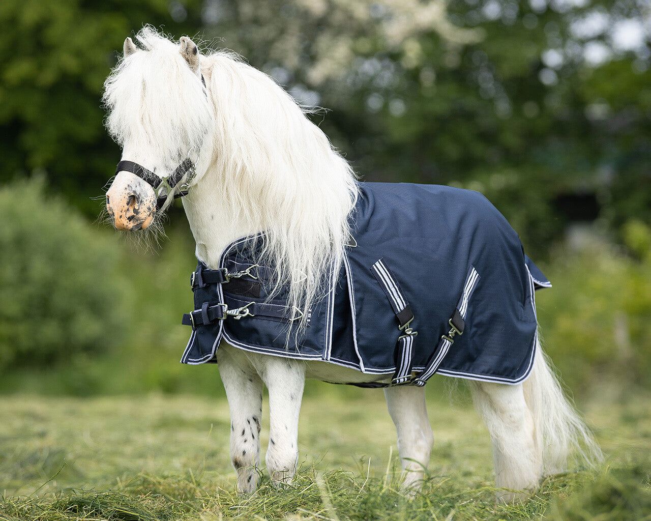 Mantas exteriores Turnout rug falabella 200gr QHP para equitación - vista 29