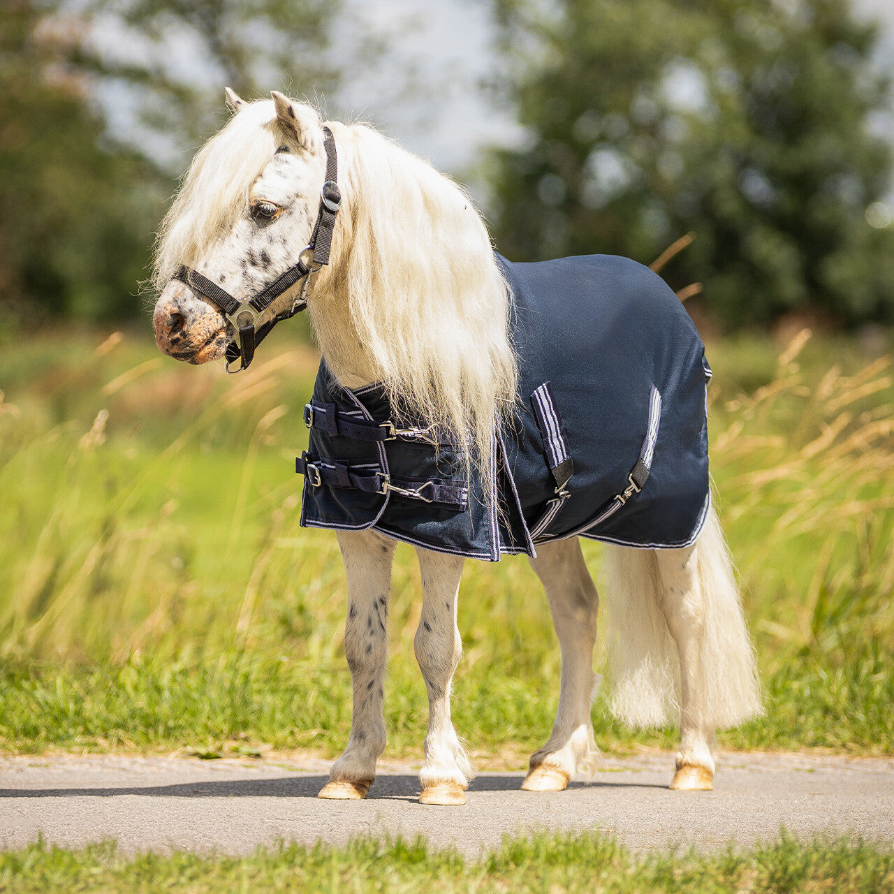 Mantas exteriores Turnout rug falabella 200gr QHP para equitación - vista 9