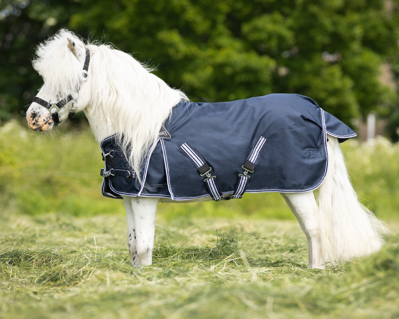 Mantas exteriores Turnout rug falabella 200gr QHP para equitación - vista 15