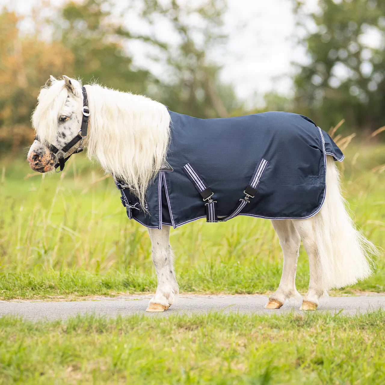 Mantas exteriores Turnout rug falabella 200gr QHP para equitación - vista 14