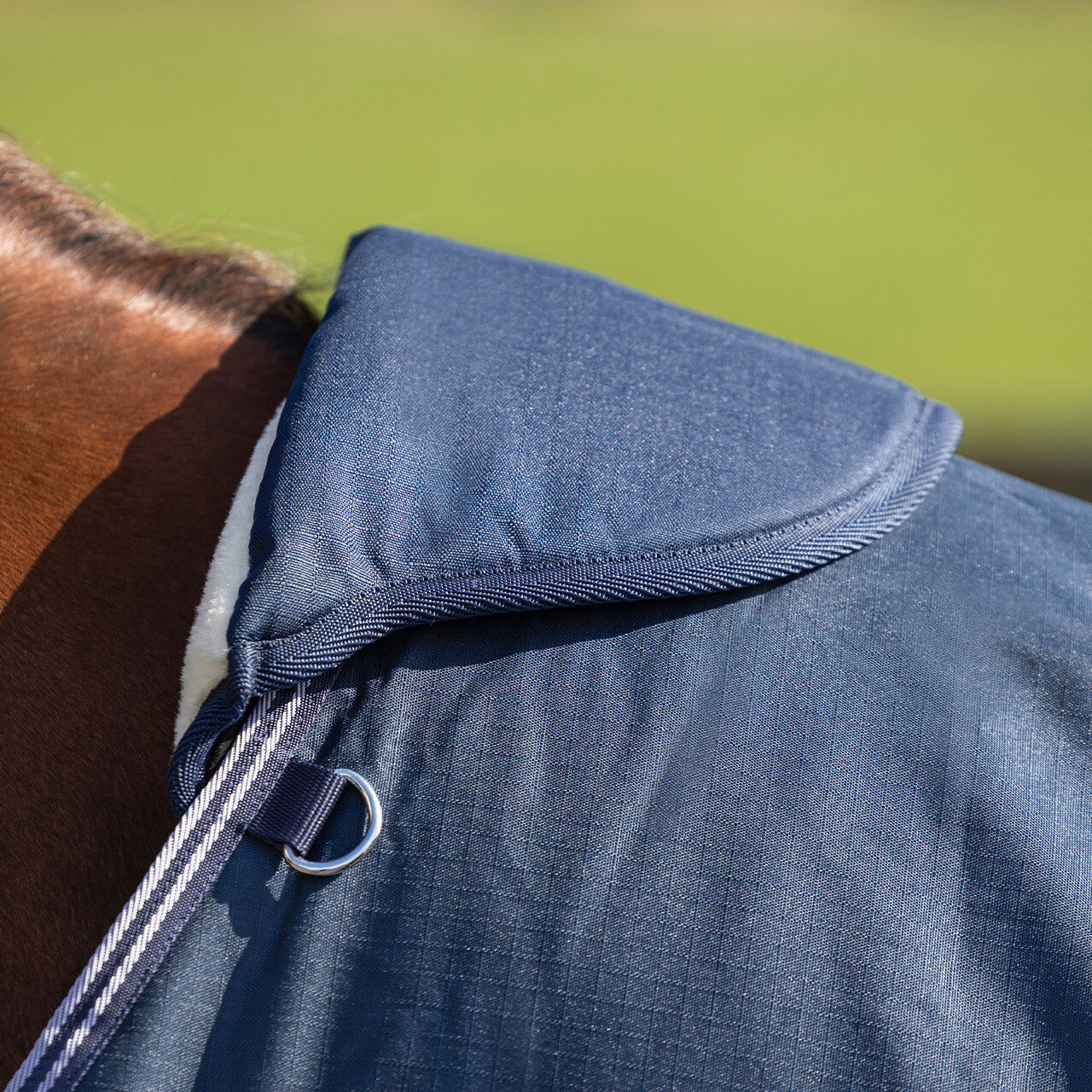 Wither protector QHP para equitación