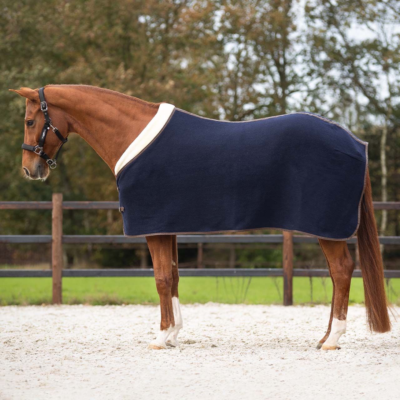 Mantas exteriores Lana rug Deluxe QHP para equitación - vista 11