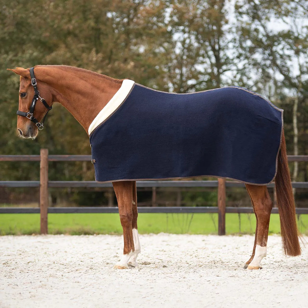 Mantas exteriores Lana rug Deluxe QHP para equitación - vista 12