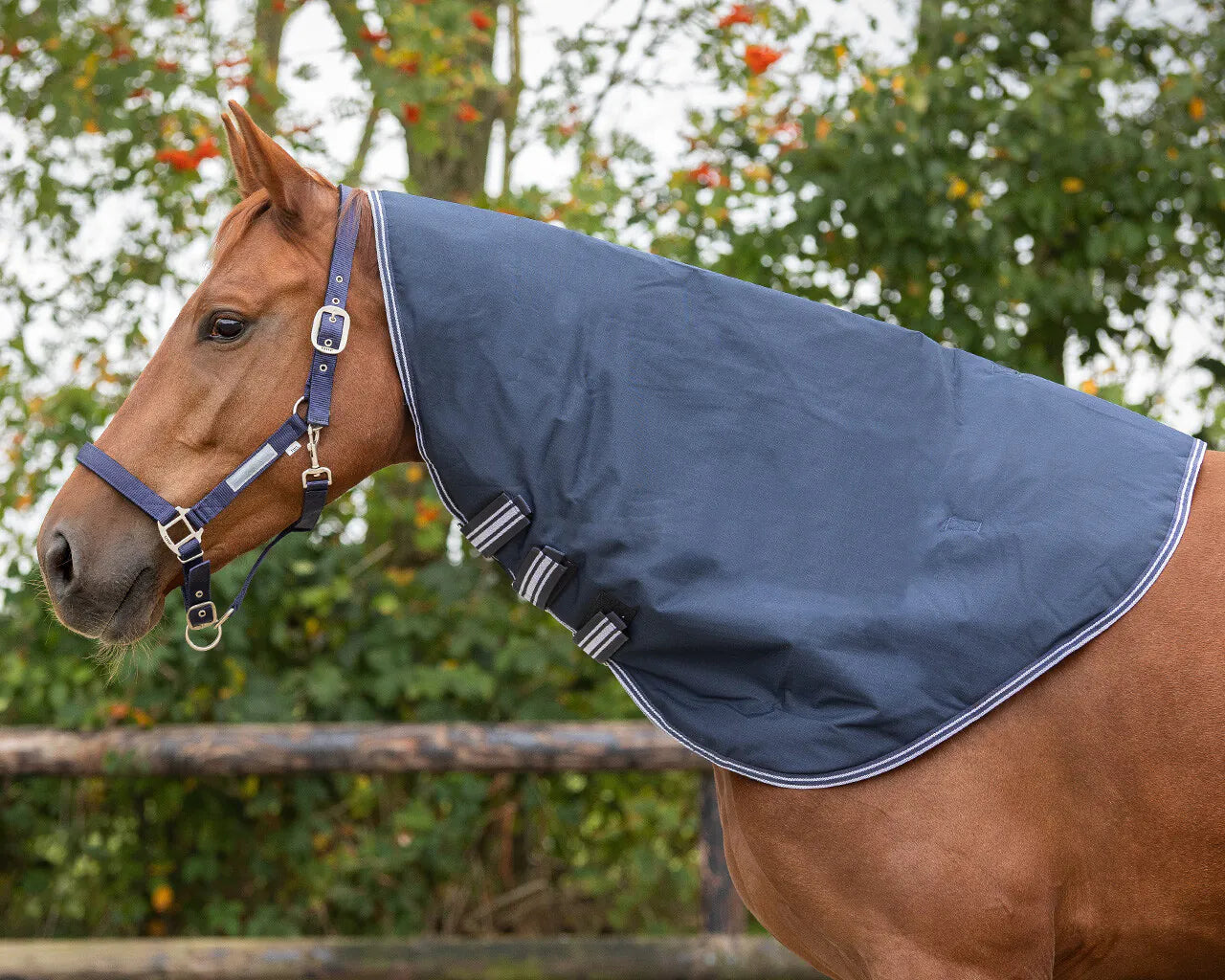 Mantas exteriores Neck turnout Luxury 100gr QHP para equitación - vista 6