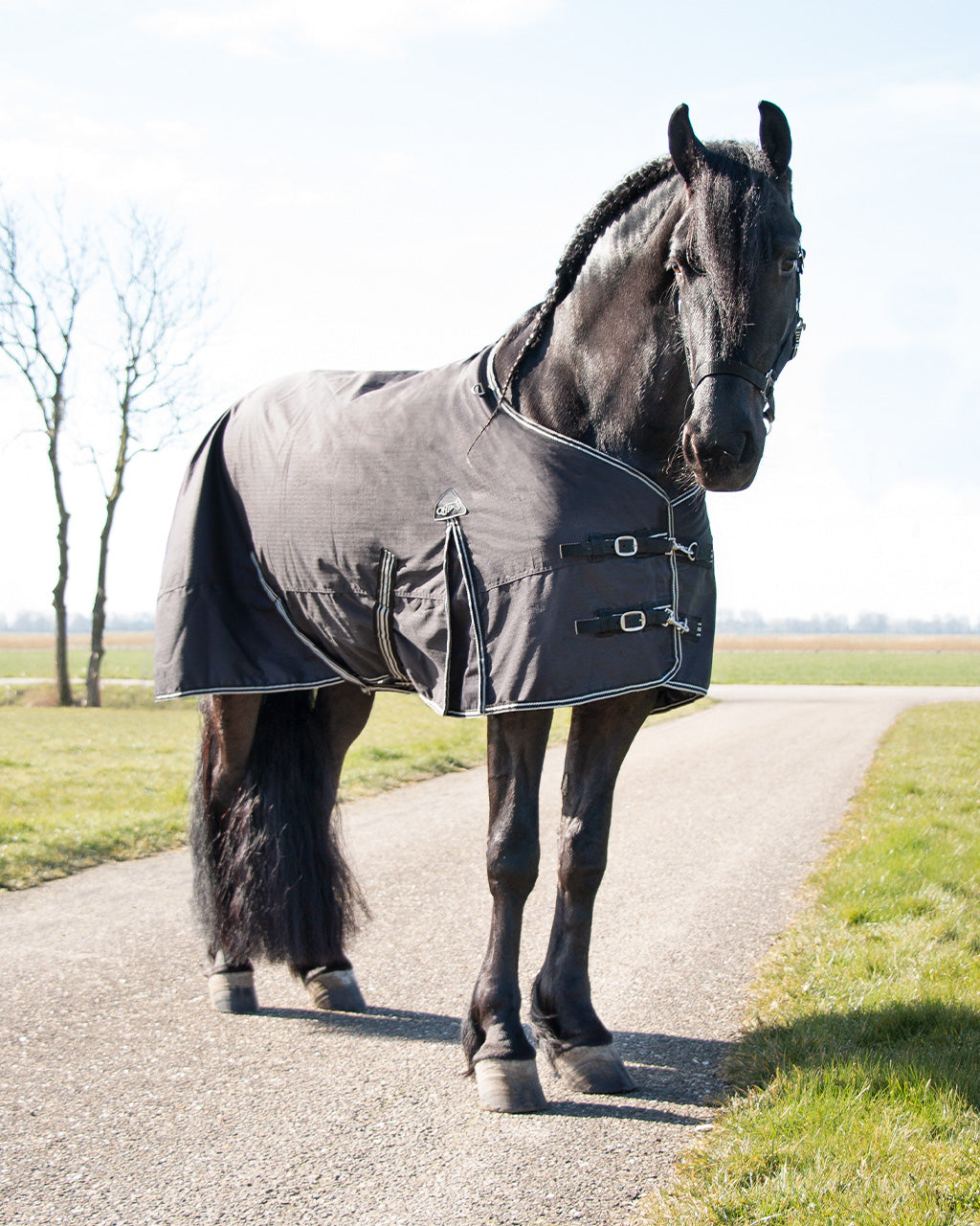 Mantas exteriores Turnout rug Big neck 150gr QHP para equitación - vista 20