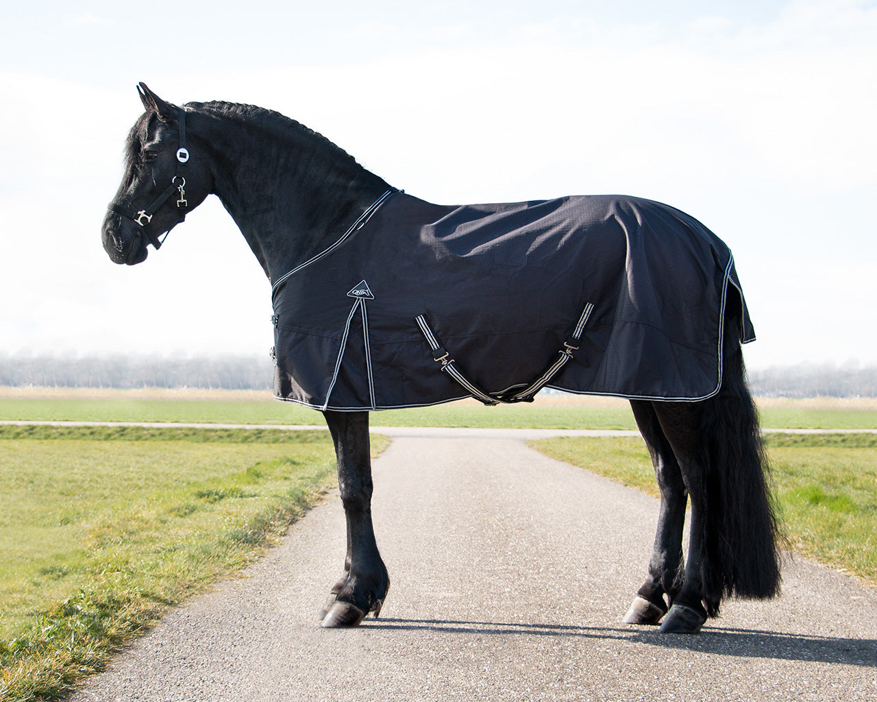Mantas exteriores Turnout rug Big neck 150gr QHP para equitación - vista 12