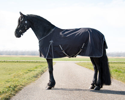 Mantas exteriores Turnout rug Big neck 150gr QHP para equitación - vista 17
