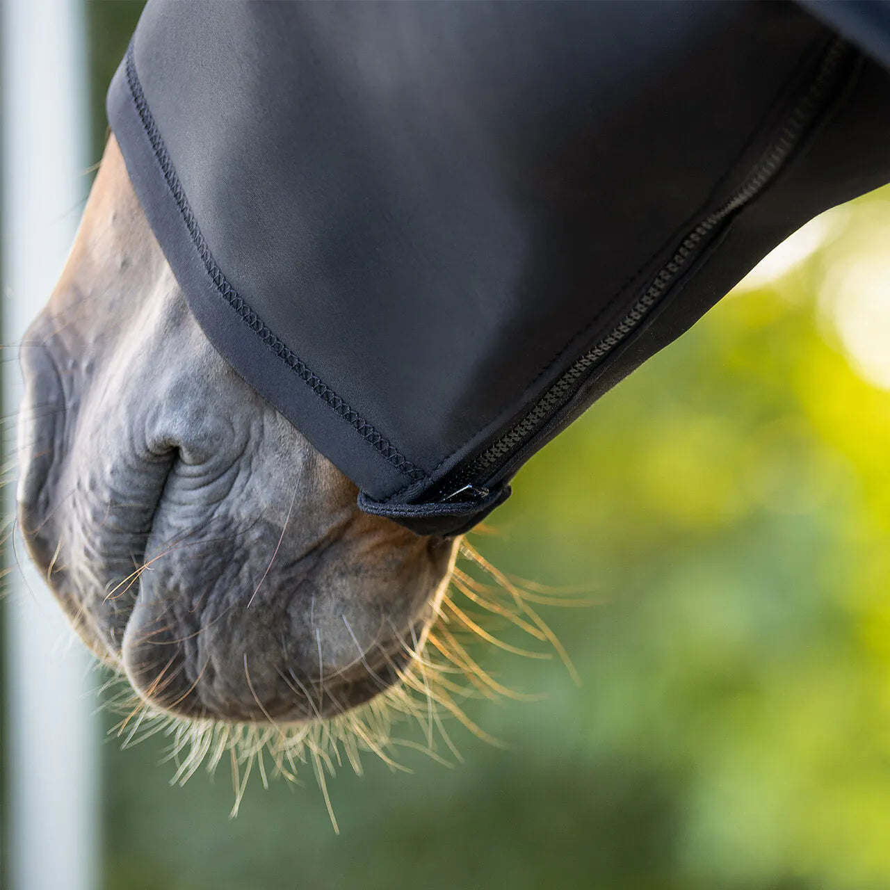 Elastic neckprotector con cremallera QHP para equitación - vista 2
