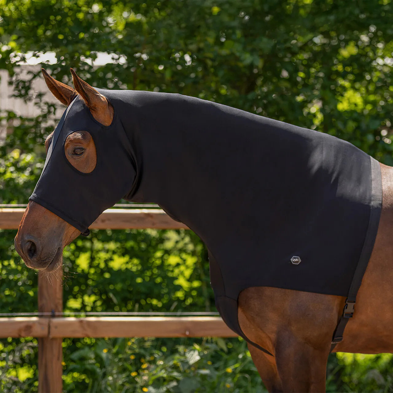 Elastic neckprotector con cremallera QHP para equitación - vista 8