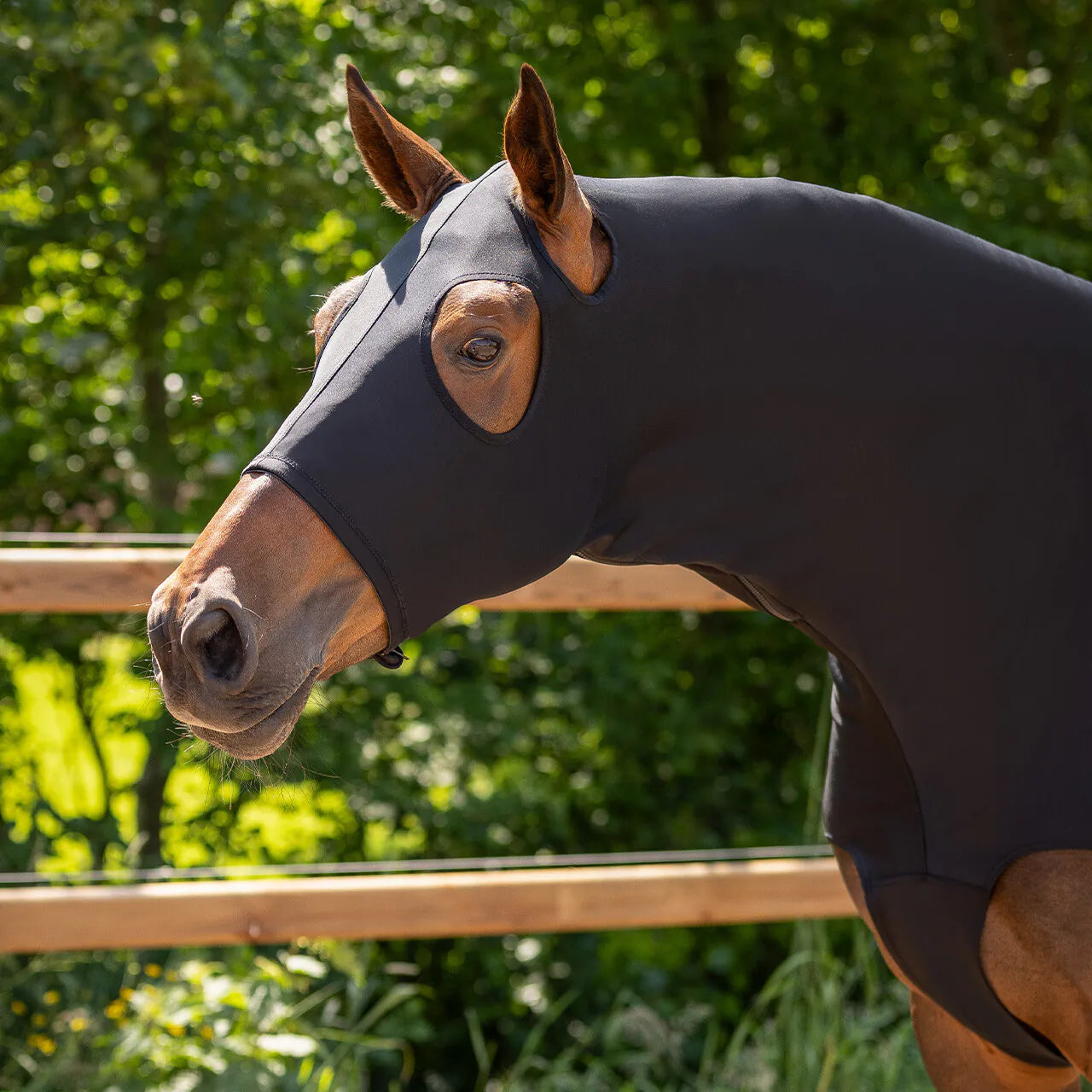 Elastic neckprotector con cremallera QHP para equitación - vista 16