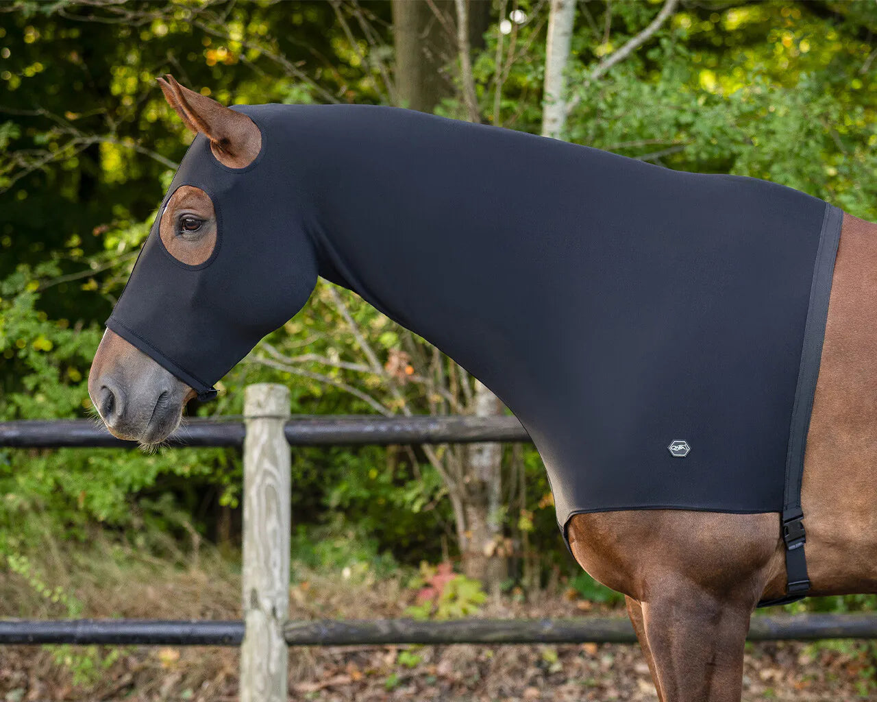 Elastic neckprotector con cremallera QHP para equitación - vista 20