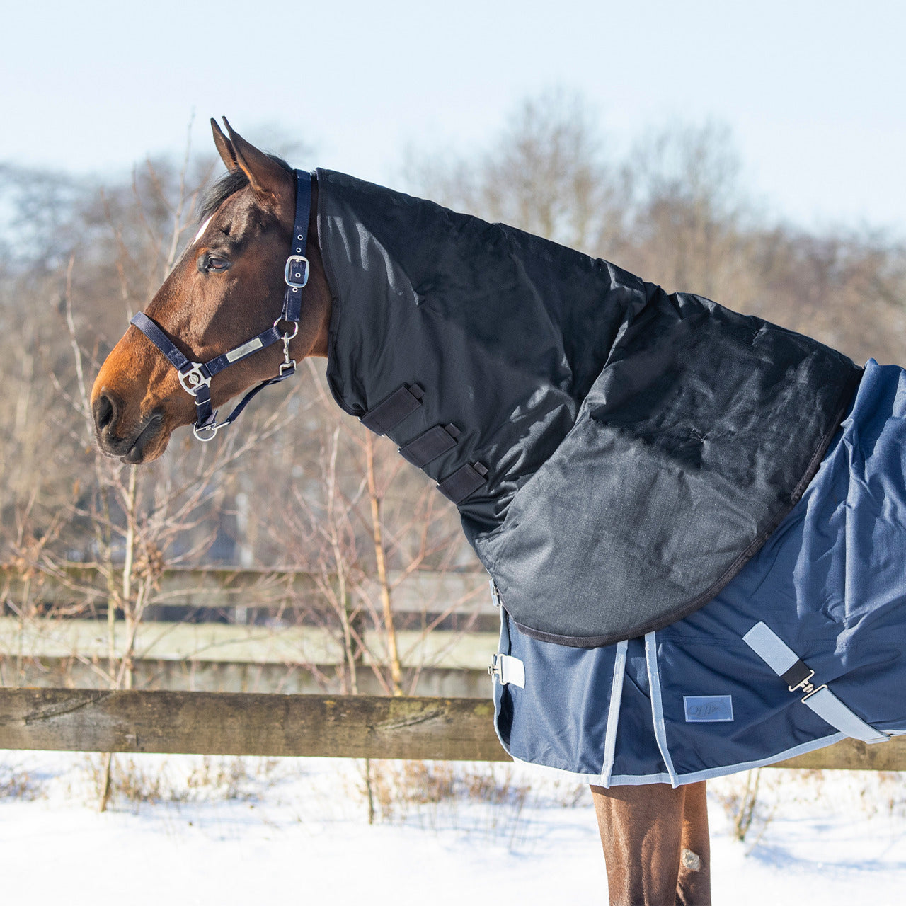 Mantas exteriores Neck turnout Big neck 150gr QHP para equitación - vista 5
