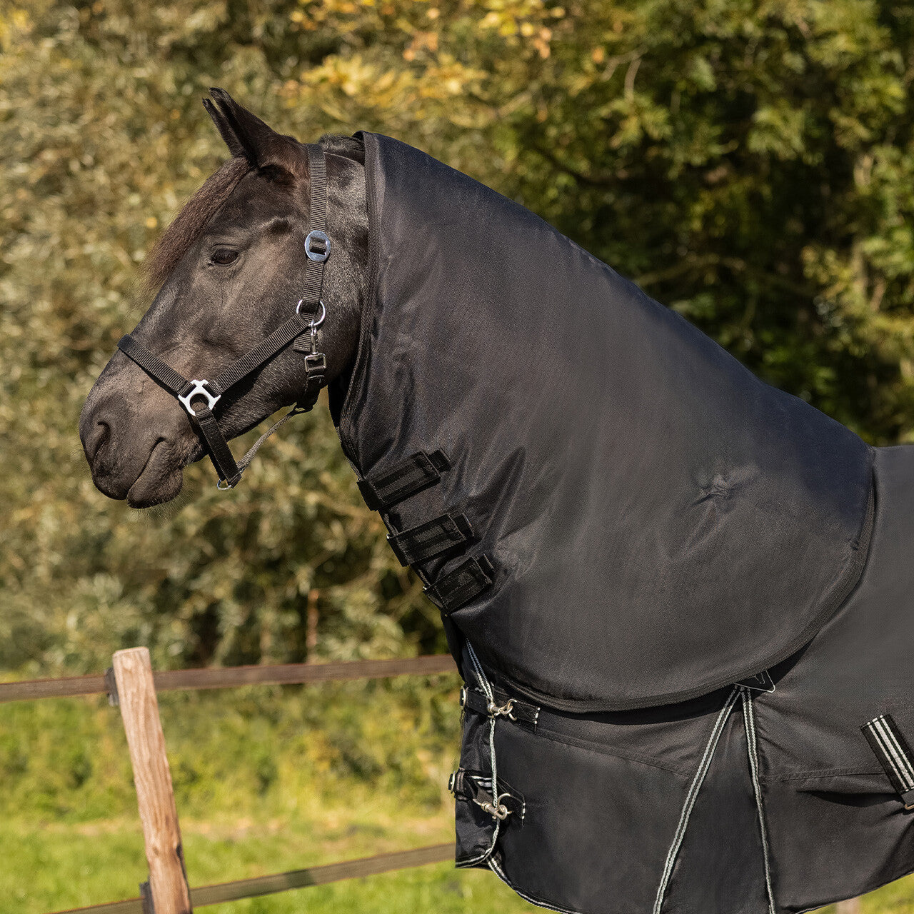 Mantas exteriores Neck turnout Big neck 150gr QHP para equitación - vista 3