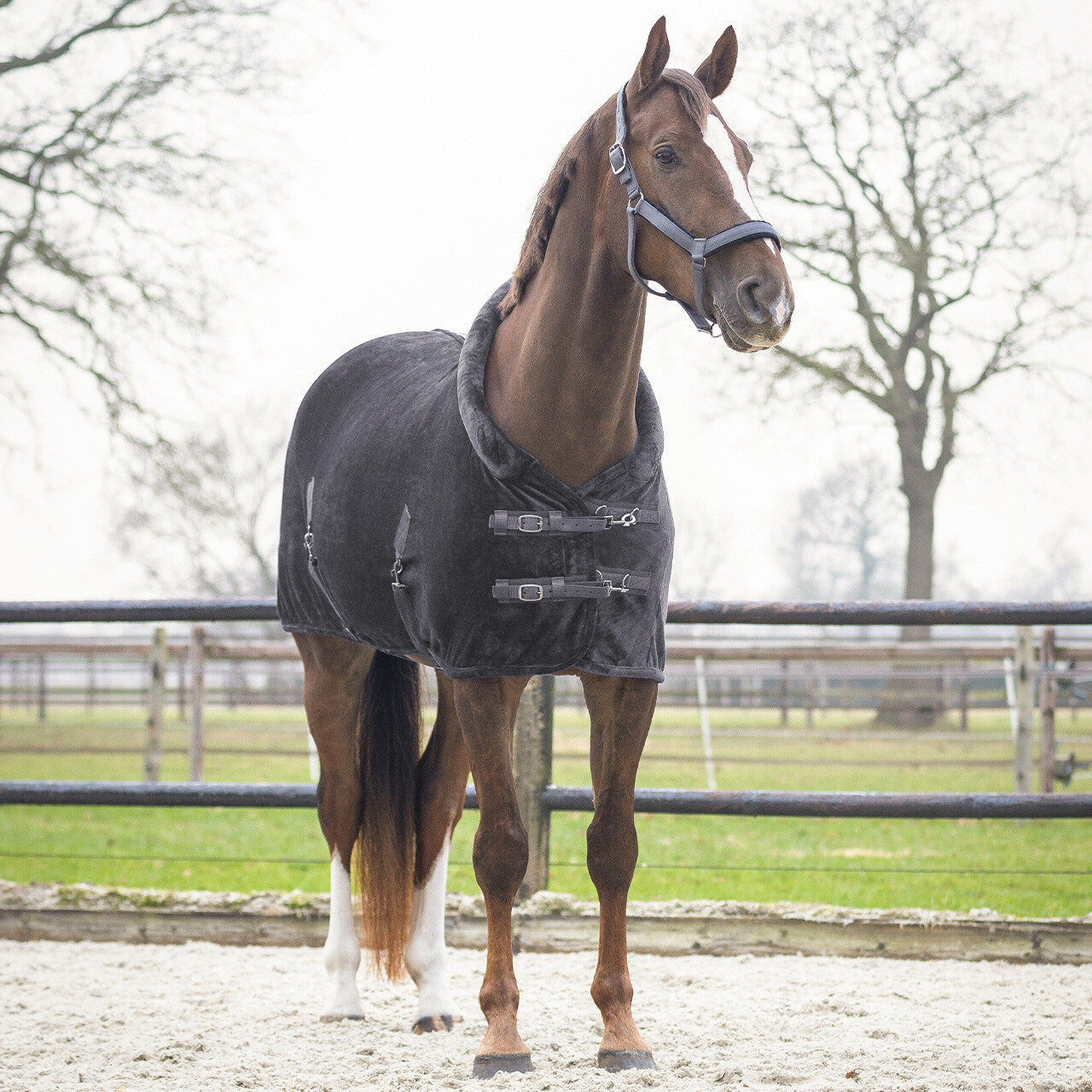 Mantas exteriores Show rug Sensisoft QHP para equitación