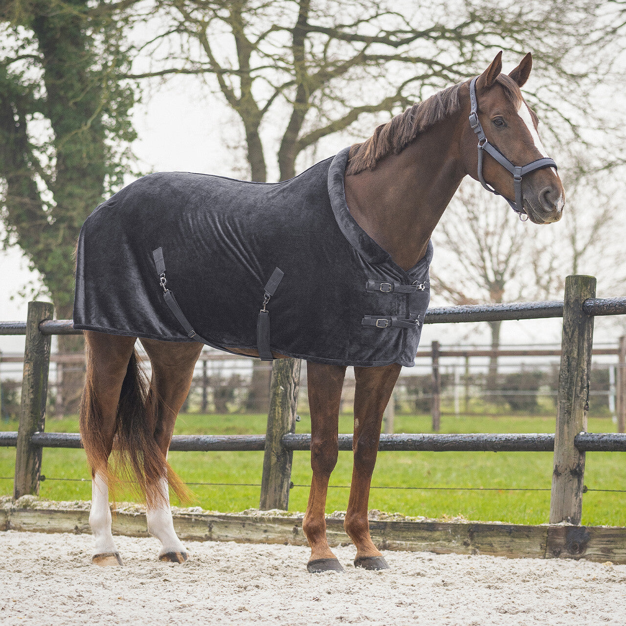 Mantas exteriores Show rug Sensisoft QHP para equitación - vista 5