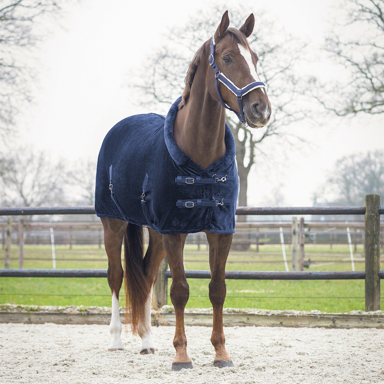 Mantas exteriores Show rug Sensisoft QHP para equitación - vista 13