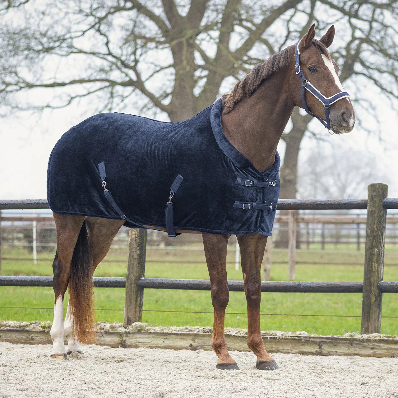 Mantas exteriores Show rug Sensisoft QHP para equitación - vista 18