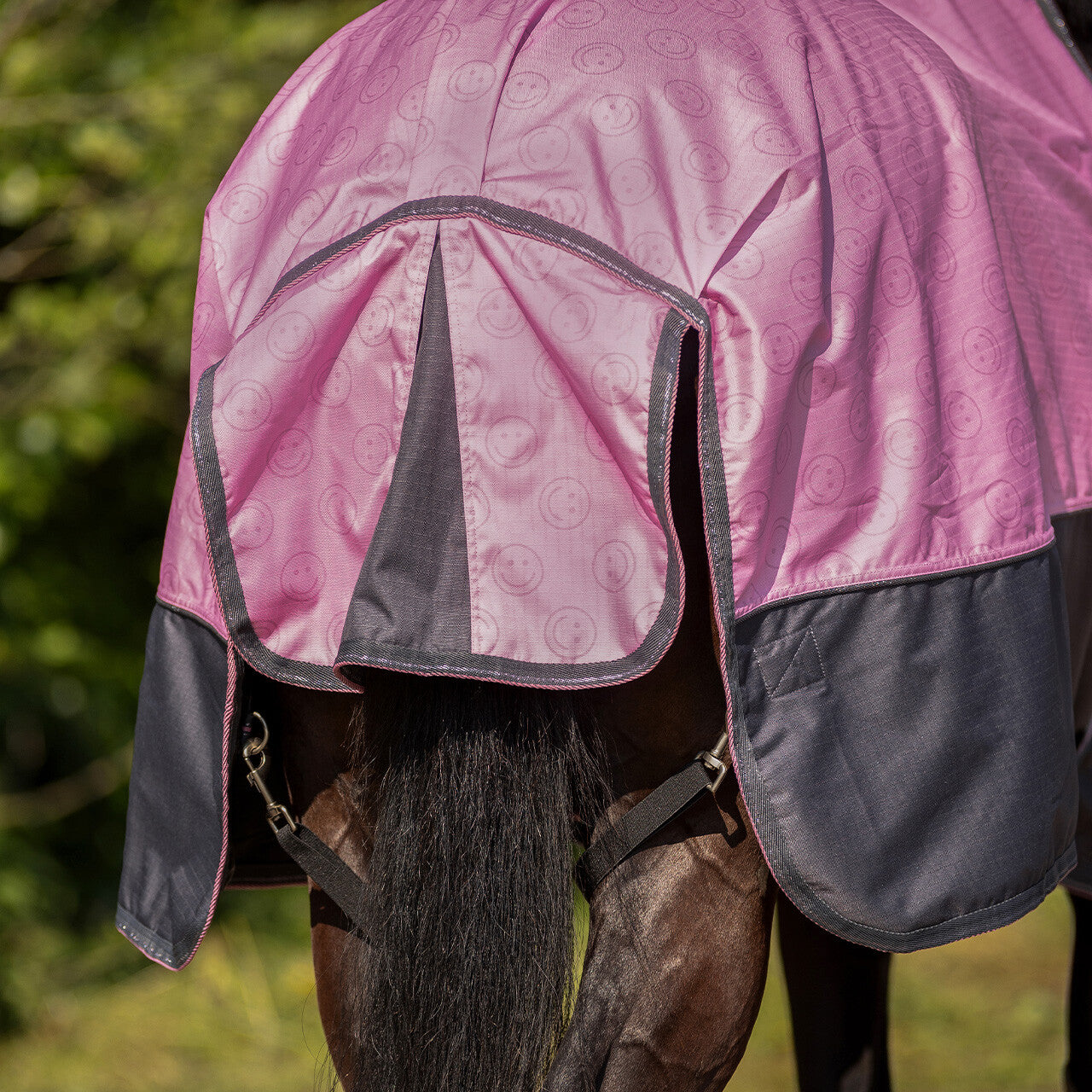 Mantas exteriores Turnout rug colección 0gr QHP para equitación - vista 11