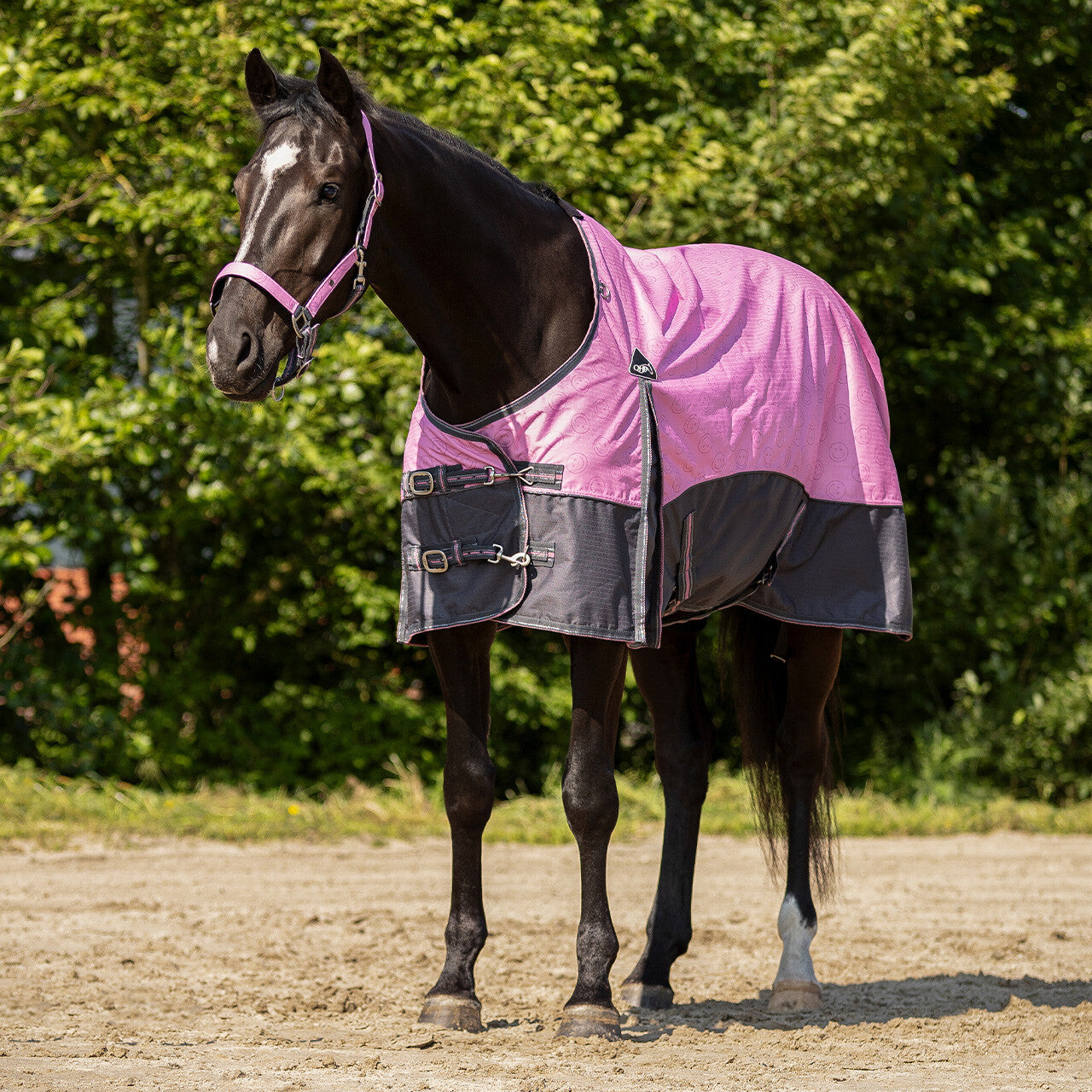 Mantas exteriores Turnout rug colección forro polar forro QHP para equitación - vista 31