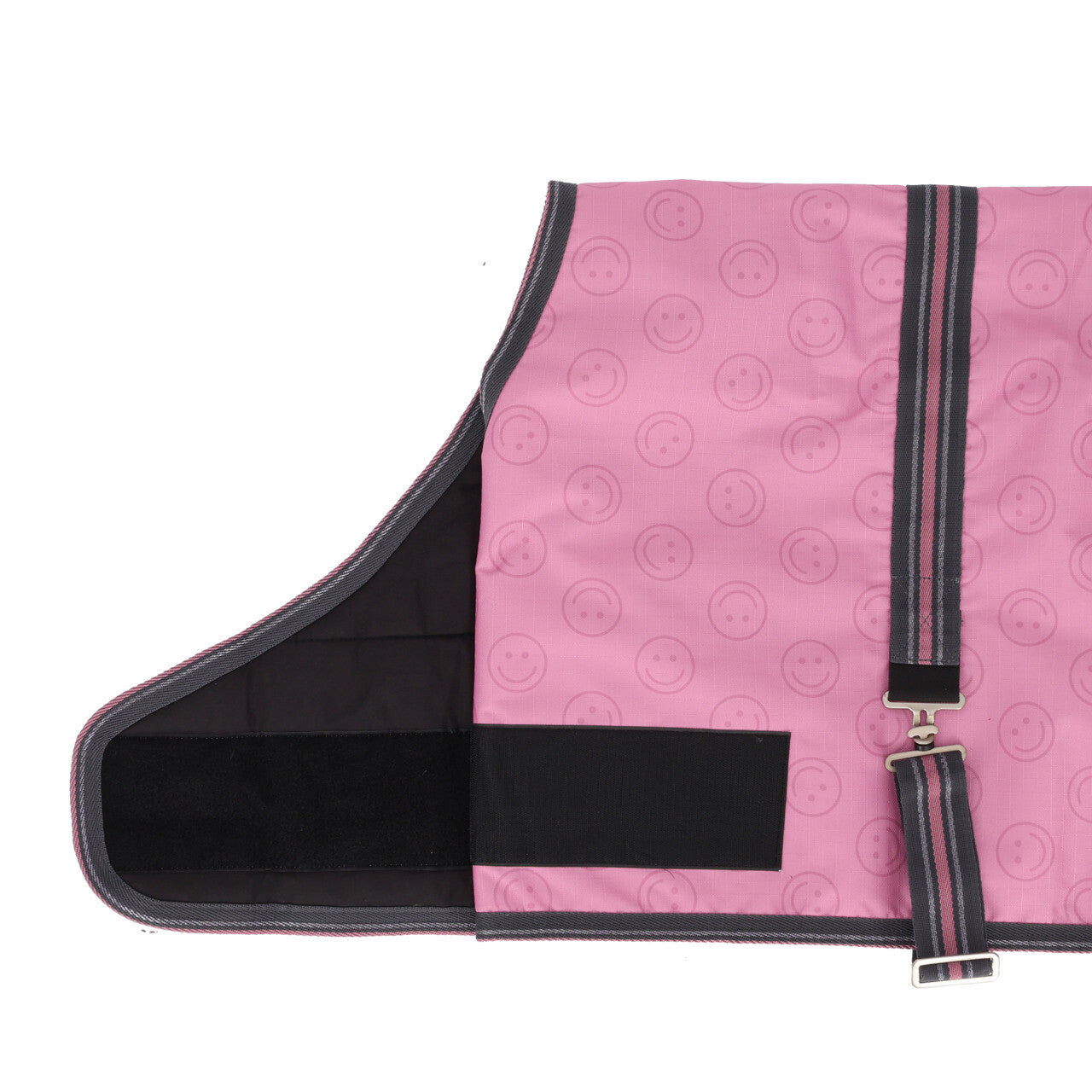 Mantas exteriores Potro rug turnout colección QHP para equitación - vista 14