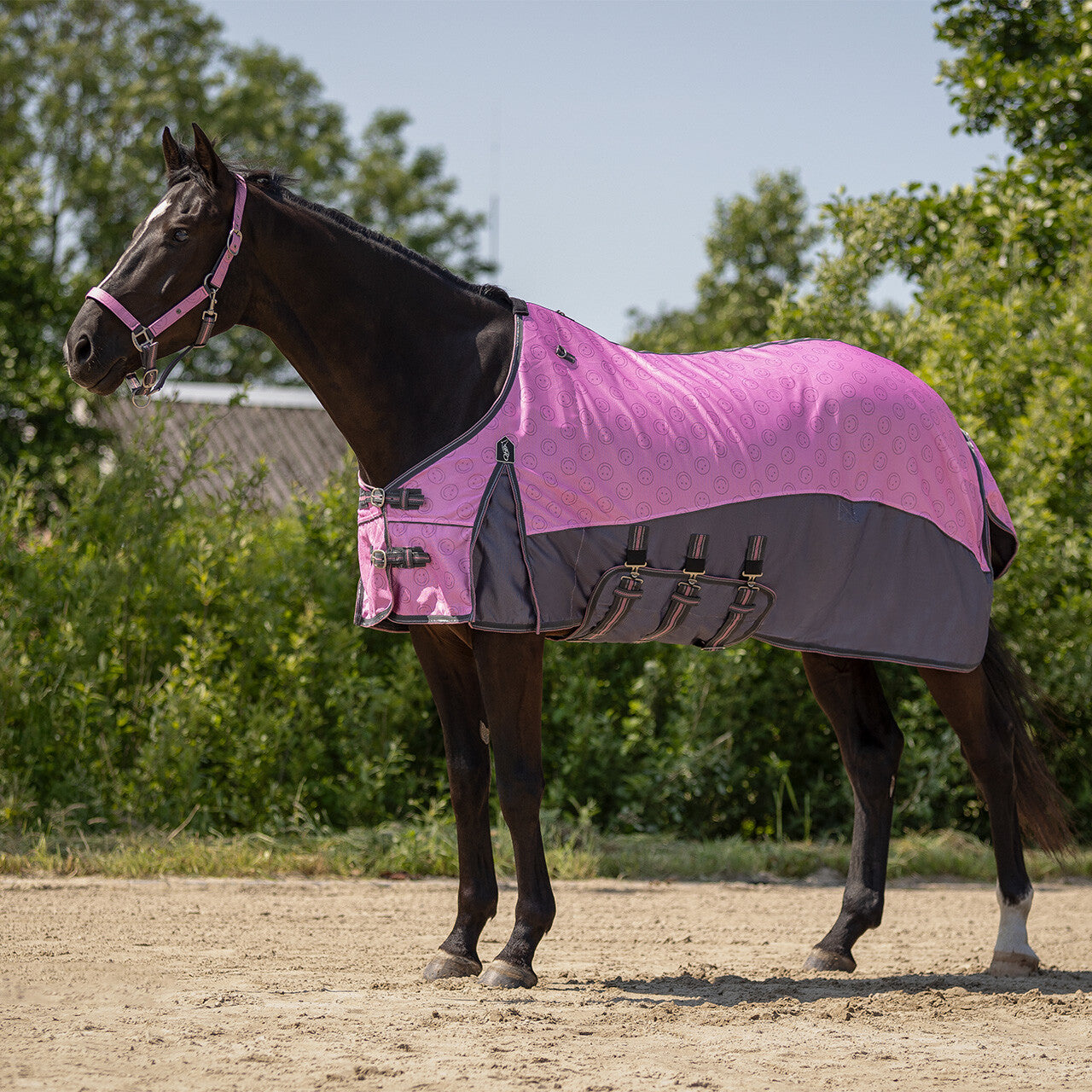 Repelentes de insectos Fly sheet colección con desmontable neck y mask QHP para equitación - vista 25