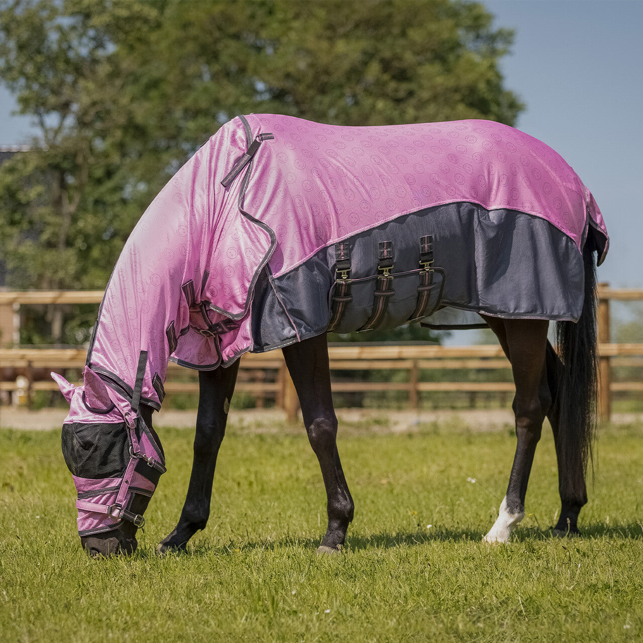 Repelentes de insectos Fly sheet colección con desmontable neck y mask QHP para equitación - vista 36