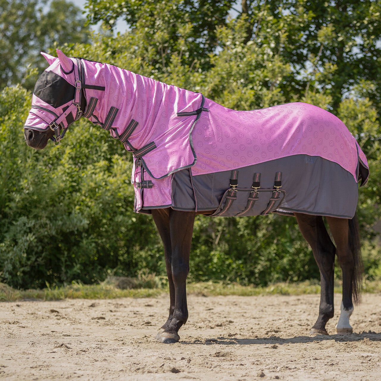 Repelentes de insectos Fly sheet colección con desmontable neck y mask QHP para equitación