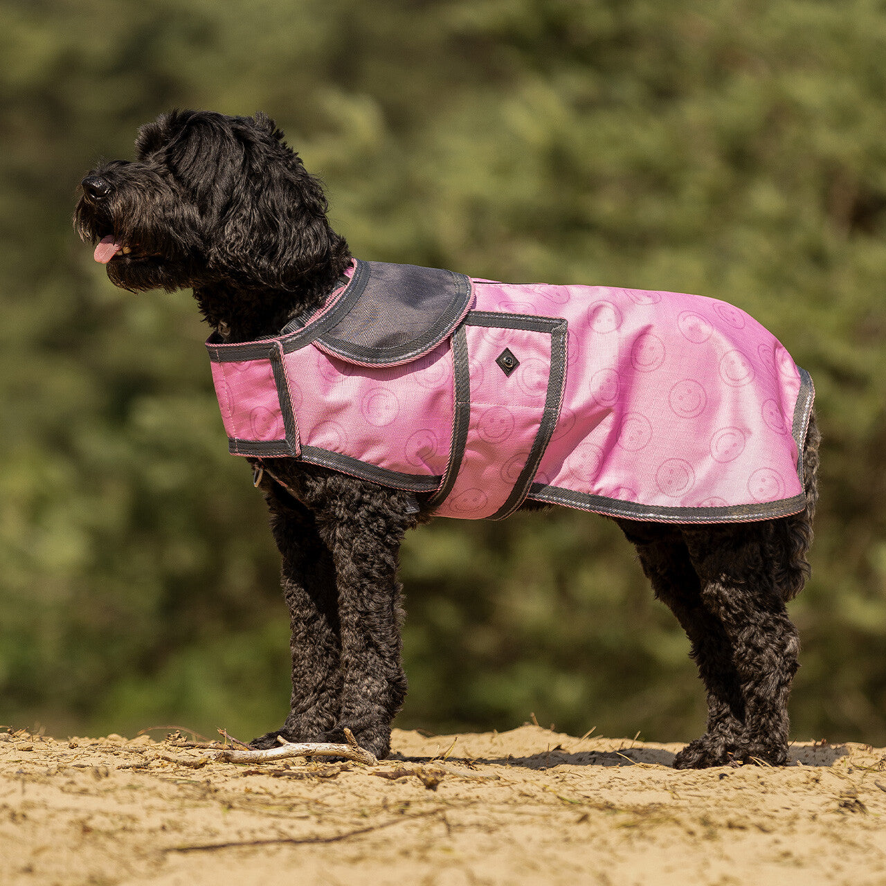 Mantas exteriores Dog rug turnout colección QHP para equitación - vista 19