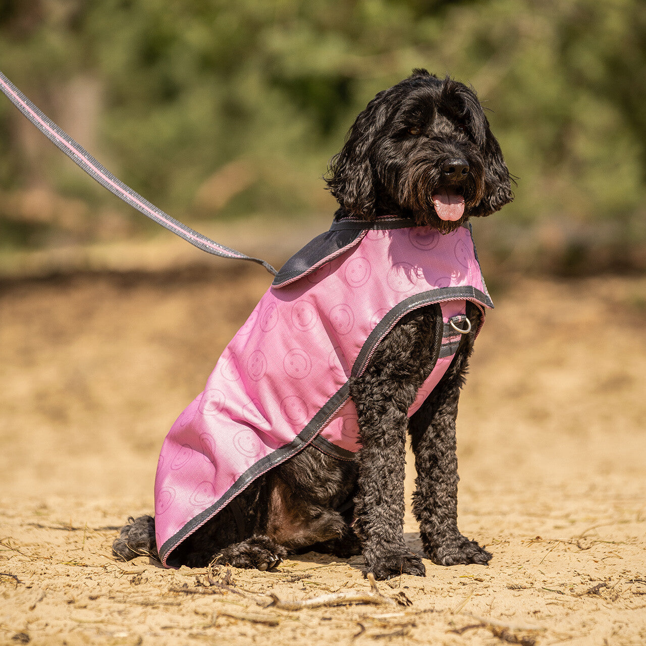 Mantas exteriores Dog rug turnout colección QHP para equitación - vista 8