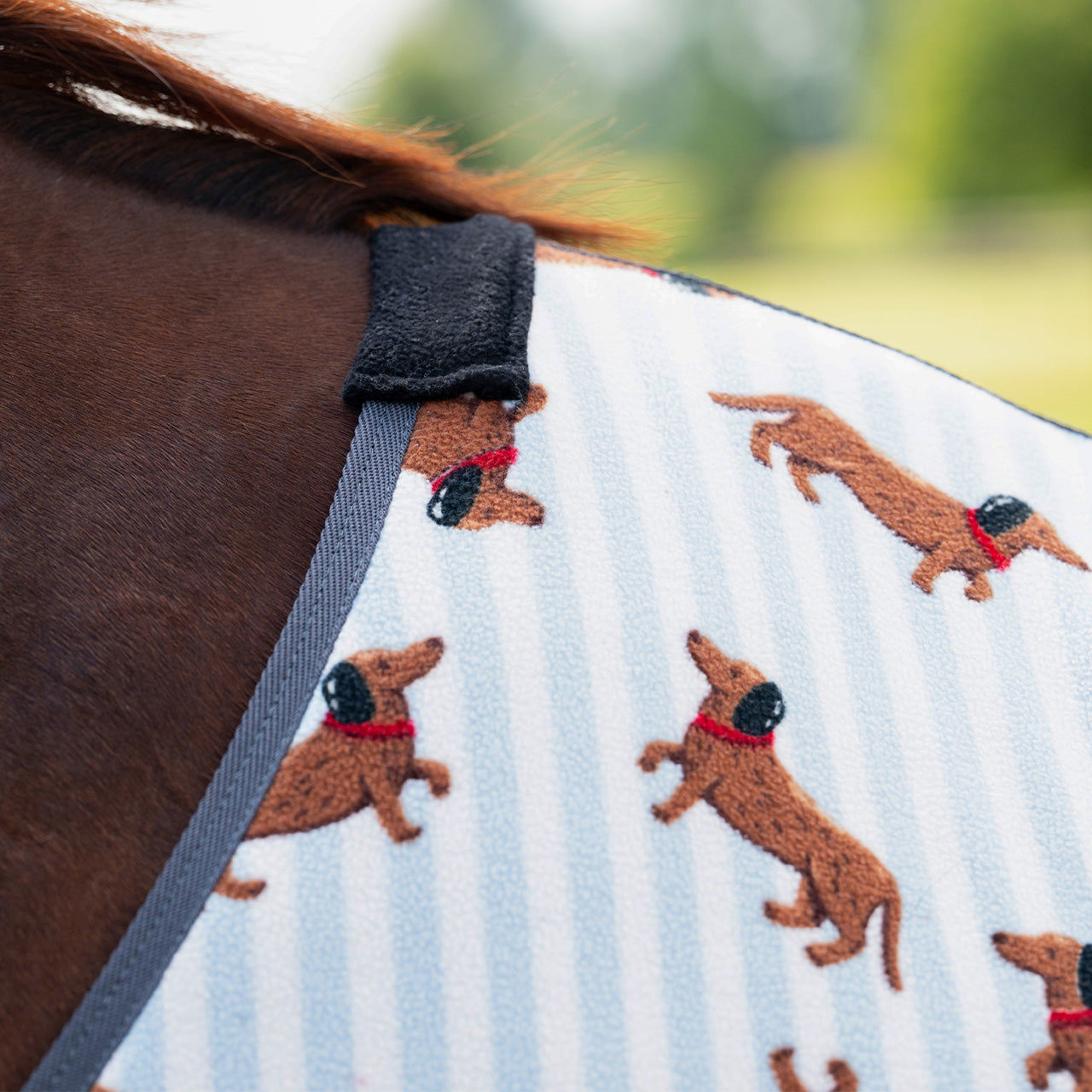 Mantas exteriores forro polar rug Stable buddy QHP para equitación - vista 3