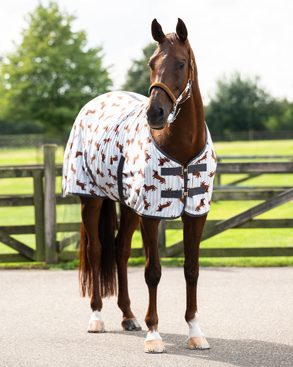 Mantas exteriores forro polar rug Stable buddy QHP para equitación - vista 7