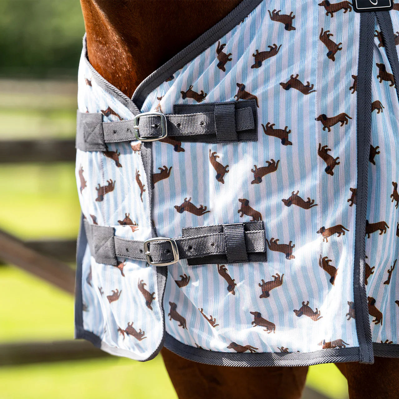 Repelentes de insectos Fly sheet Stable buddy QHP para equitación - vista 2
