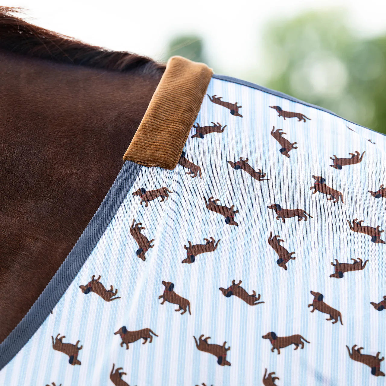 Repelentes de insectos Fly sheet Stable buddy QHP para equitación - vista 4